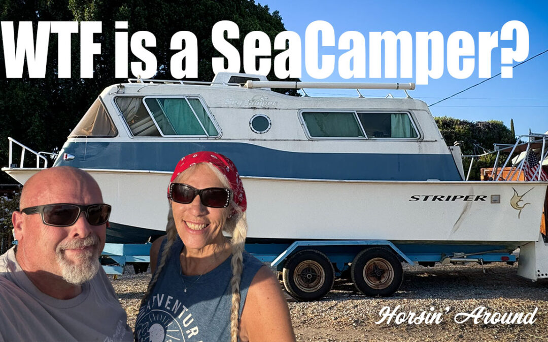 Video: WTF is a SeaCamper?